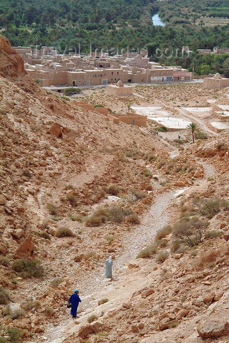 moroc326: Morocco / Maroc - outside Tinerhir: oasis - Wadi Todra - down the slope - photo by J.Banks - (c) Travel-Images.com - Stock Photography agency - Image Bank