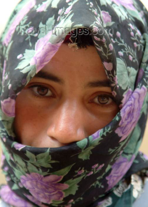 moroc327: Morocco / Maroc - Todra gorge: local woman - photo by J.Banks - (c) Travel-Images.com - Stock Photography agency - Image Bank