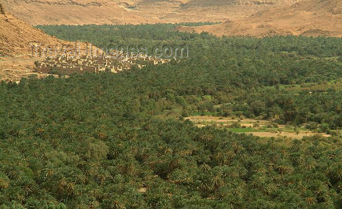 moroc328: Morocco / Maroc - outside Tinerhir - (Souss Massa-Draa - near Erfoud): oasis - Wadi Todra - photo by J.Banks - (c) Travel-Images.com - Stock Photography agency - Image Bank