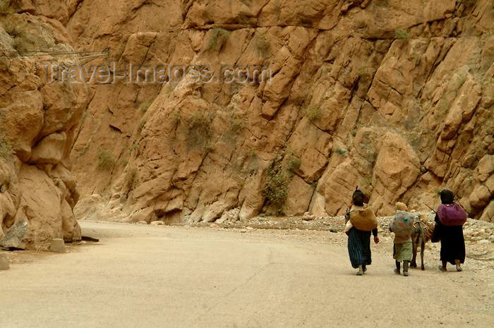 moroc331: Morocco / Maroc - Todra gorge - Tinerhir: farmers - photo by J.Banks - (c) Travel-Images.com - Stock Photography agency - Image Bank