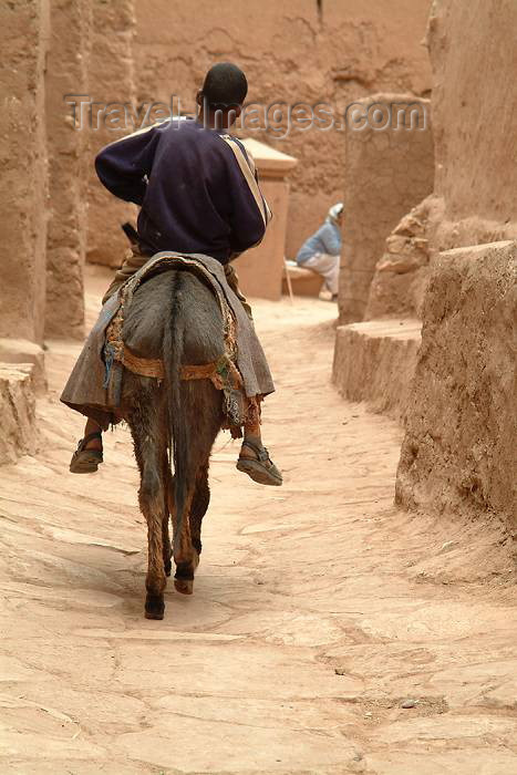 moroc332: Morocco / Maroc - Ait Benhaddou: casbah taxi - donkey - photo by J.Banks - (c) Travel-Images.com - Stock Photography agency - Image Bank