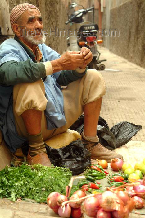 moroc345: Morocco / Maroc - Marrakesh: street merchant - photo by J.Banks - (c) Travel-Images.com - Stock Photography agency - Image Bank