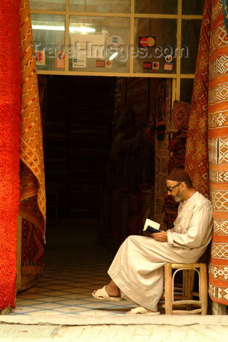 moroc347: Morocco / Maroc - Marrakesh: reading the Koran - photo by J.Banks - (c) Travel-Images.com - Stock Photography agency - Image Bank