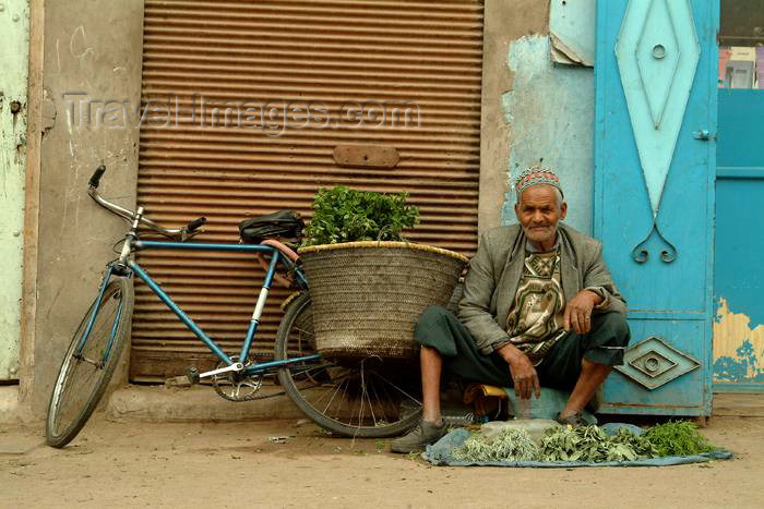 moroc349: Morocco / Maroc - Marrakesh: mint seller and his bike - photo by J.Banks - (c) Travel-Images.com - Stock Photography agency - Image Bank