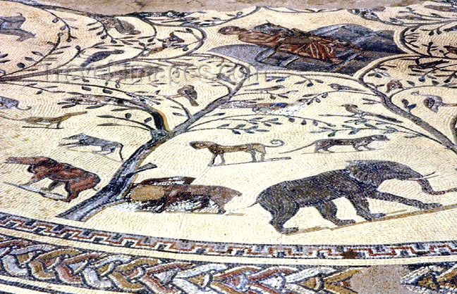 moroc365: Morocco / Maroc - Volubilis: Roman mosaic - African fauna - Unesco world heritage site - photo by G.Frysinger - (c) Travel-Images.com - Stock Photography agency - Image Bank