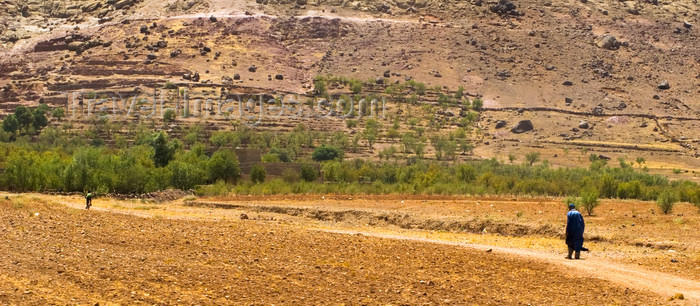 moroc386: Morocco - Taroudant: dirt road - Sous Valley - photo by M.Ricci - (c) Travel-Images.com - Stock Photography agency - Image Bank