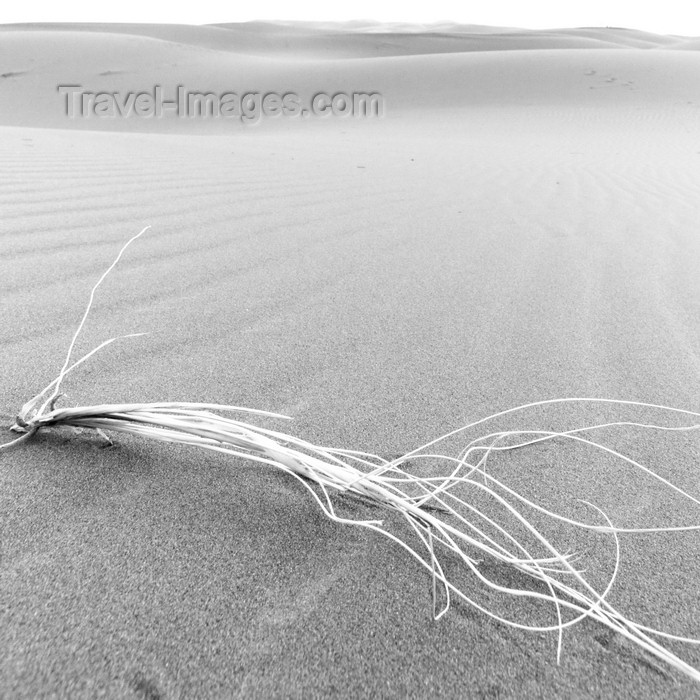 moroc393: Morocco - Merzouga: the simplicity of the desert - photo by M.Ricci - (c) Travel-Images.com - Stock Photography agency - Image Bank