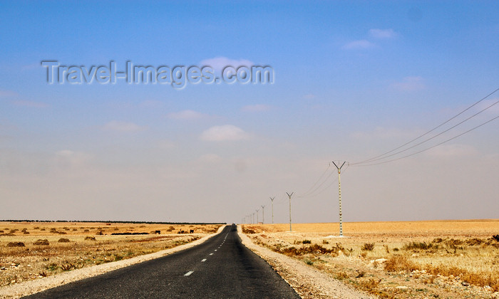 moroc410: Morocco - Essaouira: desert road - photo by M.Ricci - (c) Travel-Images.com - Stock Photography agency - Image Bank