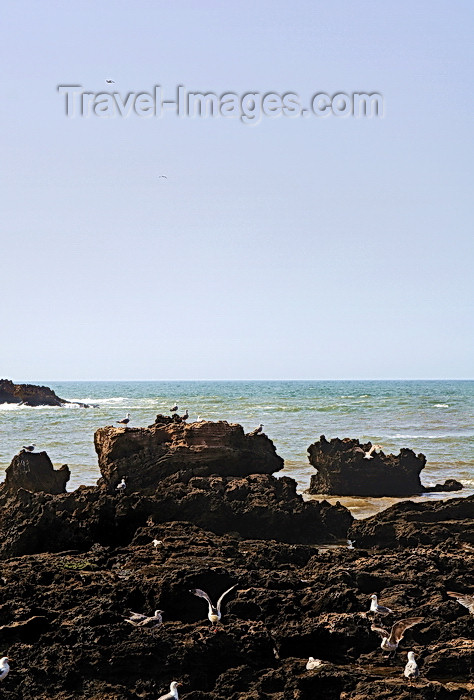 moroc420: Morocco - Essaouira: port - rucks, gulls and the Atlantic - photo by M.Ricci - (c) Travel-Images.com - Stock Photography agency - Image Bank