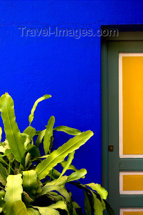 moroc427: Morocco - Marrakech: Jardin Majorelle - cobalt blue wall - Majorelle bleu - photo by M.Ricci - (c) Travel-Images.com - Stock Photography agency - Image Bank