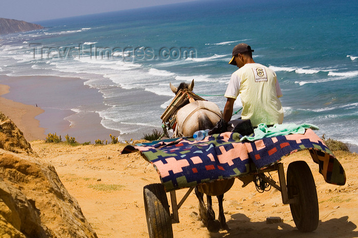 moroc444: Asilah / Arzila, Morocco - cart trip - Paradise beach - photo by Sandia - (c) Travel-Images.com - Stock Photography agency - Image Bank