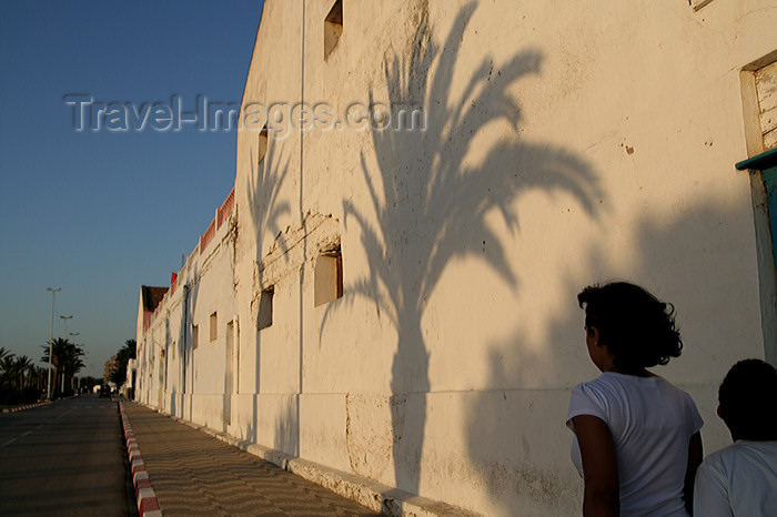 moroc451: Asilah / Arzila, Morocco - palm tree shadow - waterfront street - photo by Sandia - (c) Travel-Images.com - Stock Photography agency - Image Bank