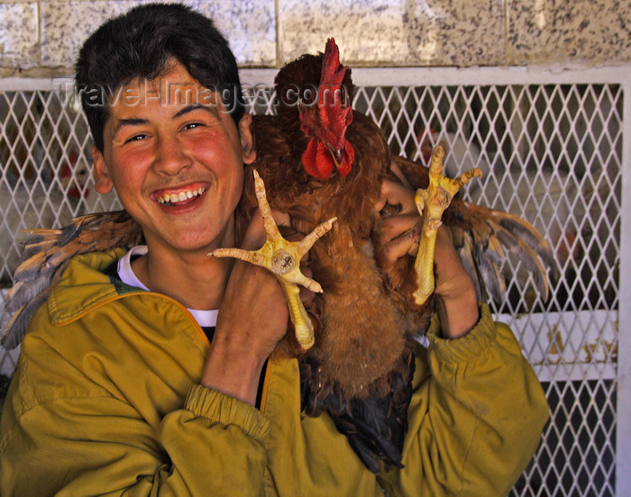 moroc469: Tiznit - Morocco: country boy with chicken - poultry shop - photo by Sandia - (c) Travel-Images.com - Stock Photography agency - Image Bank