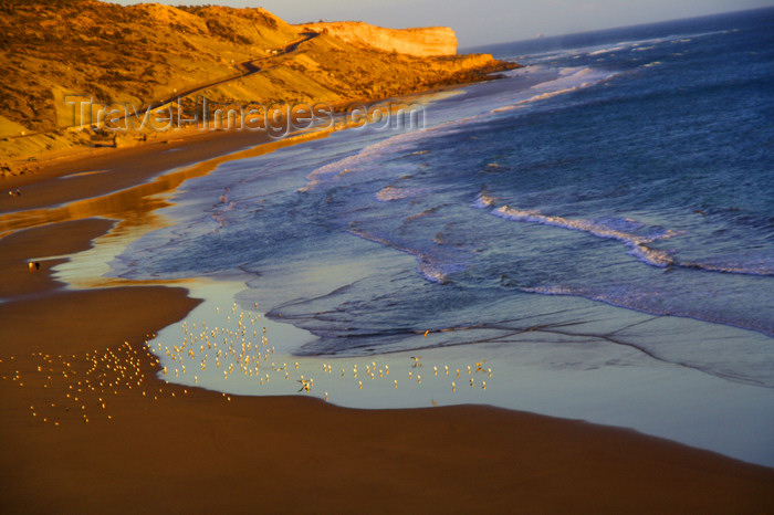 moroc477: Tarhazoute - Morocco: virgin beaches on the road from Essaouira - photo by Sandia - (c) Travel-Images.com - Stock Photography agency - Image Bank