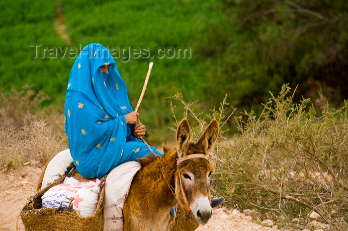 moroc479: Souss-Massa National Park, Morocco: woman riding a donkey - photo by Sandia - (c) Travel-Images.com - Stock Photography agency - Image Bank