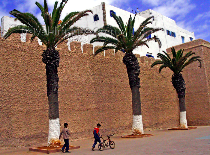 moroc496: Mogador / Essaouira - Morocco: peaceful afternoon - walls and palm trees - photo by Sandia - (c) Travel-Images.com - Stock Photography agency - Image Bank