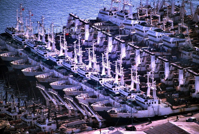 moroc69: Morocco / Maroc - Agadir: fishing fleet - photo by F.Rigaud - (c) Travel-Images.com - Stock Photography agency - Image Bank