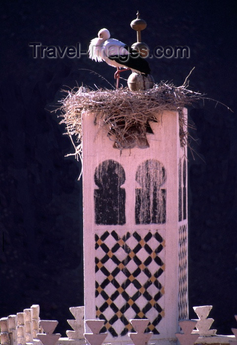 moroc71: Morocco / Maroc - Merzouga: stork on a minaret - photo by F.Rigaud - (c) Travel-Images.com - Stock Photography agency - Image Bank