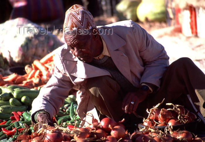 moroc75: Morocco / Maroc - Ouarzazate: onions at the souk - photo by F.Rigaud - (c) Travel-Images.com - Stock Photography agency - Image Bank