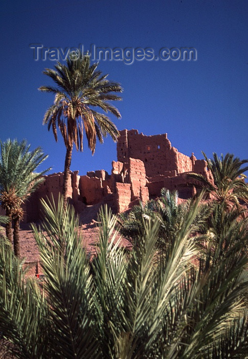 moroc79: Morocco / Maroc - Ouarzazate: palms and ruins - photo by F.Rigaud - (c) Travel-Images.com - Stock Photography agency - Image Bank