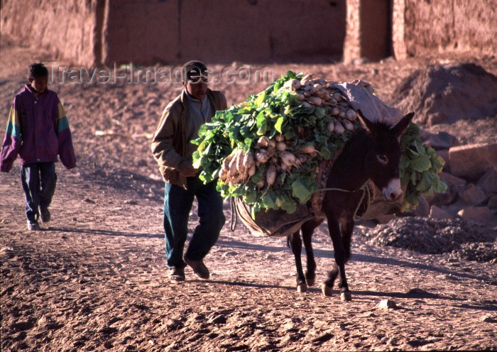 (c) Travel-Images.com - Stock Photography agency - the Global Image Bank