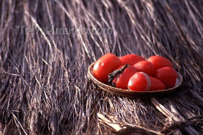 mozambique148: Mozambique / Moçambique - ilha de Benguerra: tomatoes on a plate over a thatched roof / tomates - photo by F.Rigaud - (c) Travel-Images.com - Stock Photography agency - Image Bank