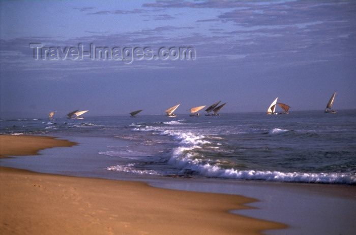 mozambique155: Mozambique / Moçambique - Inhambane: dhows - praia da Barra / dhows - Barra beach - photo by F.Rigaud - (c) Travel-Images.com - Stock Photography agency - Image Bank