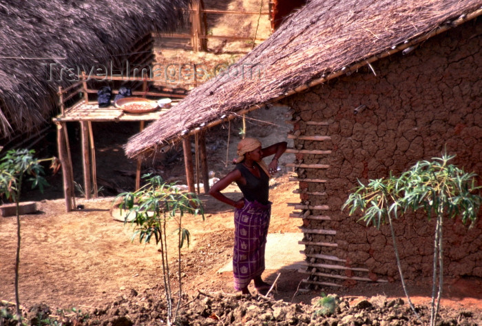 mozambique182: Mozambique / Moçambique - Pemba: mud house with wooden structure - African dwelling / casa de lama - photo by F.Rigaud - (c) Travel-Images.com - Stock Photography agency - Image Bank