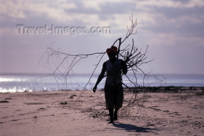 mozambique188: Pemba / Porto Amélia, Cabo Delgado, Mozambique / Moçambique: a women collects fire wood on the beach - silhouette / uma mulher recolhe lenha na praia - silhueta - photo by F.Rigaud - (c) Travel-Images.com - Stock Photography agency - Image Bank