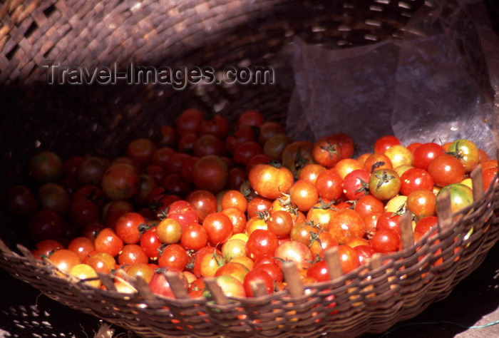 mozambique202: Mozambique island / Ilha de Moçambique, Nampula province: cherry tomatoes in a basket / tomates cereja num cesto - photo by F.Rigaud - (c) Travel-Images.com - Stock Photography agency - Image Bank