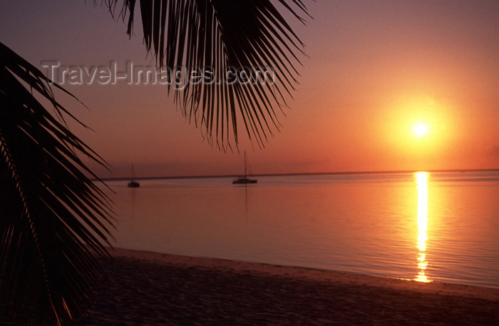 mozambique225: Mozambique / Moçambique - Benguerra island / ilha, Vilanculos District, Inhambane province: sunset on the beach - palm tree leaves / pôr do sol na praia - photo by F.Rigaud - (c) Travel-Images.com - Stock Photography agency - Image Bank