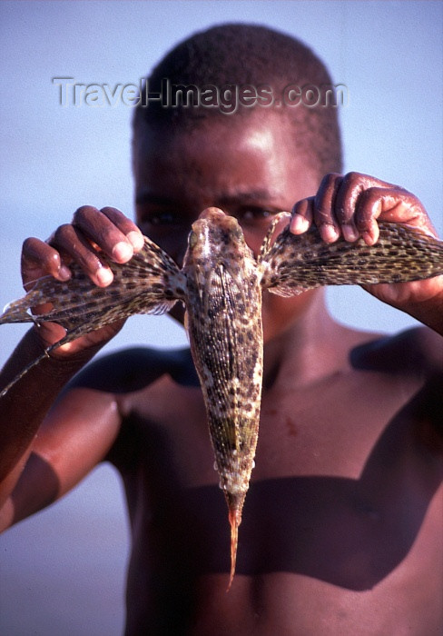 mozambique55: Mozambique / Moçambique - Benguerra: boy with flying fish / miudo com peixe voador - photo by F.Rigaud - (c) Travel-Images.com - Stock Photography agency - Image Bank