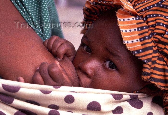 mozambique73: Ilha de Moçambique / Mozambique island: baby - breast feeding - bébé a mamar - photo by F.Rigaud - (c) Travel-Images.com - Stock Photography agency - Image Bank
