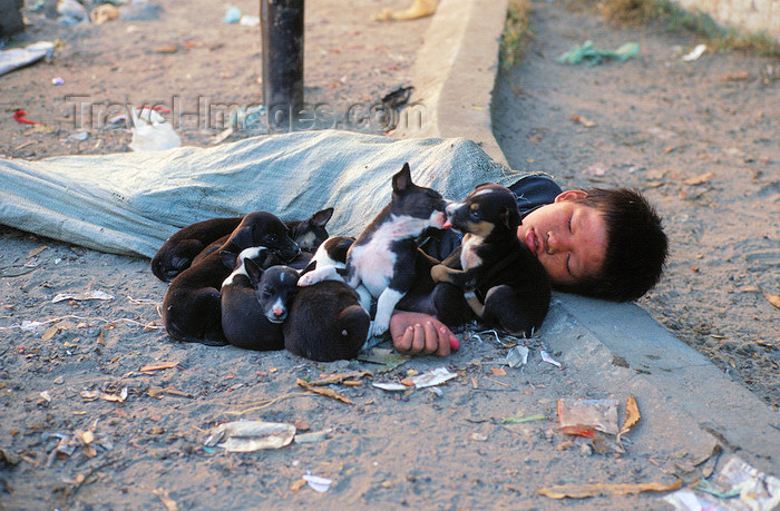 myanmar216: Myanmar - Mandalay: homeless boy sleeping with puppies - photo by W.Allgöwer - In Waisenjunge schläft am Strassenrand mit seinen Hunden. Er hat sich zum Schutz vor Kälte und Schmutz in einen Plastiksack gehüllt. Das soziale Netz in Myanmar ist grobmaschig - (c) Travel-Images.com - Stock Photography agency - Image Bank