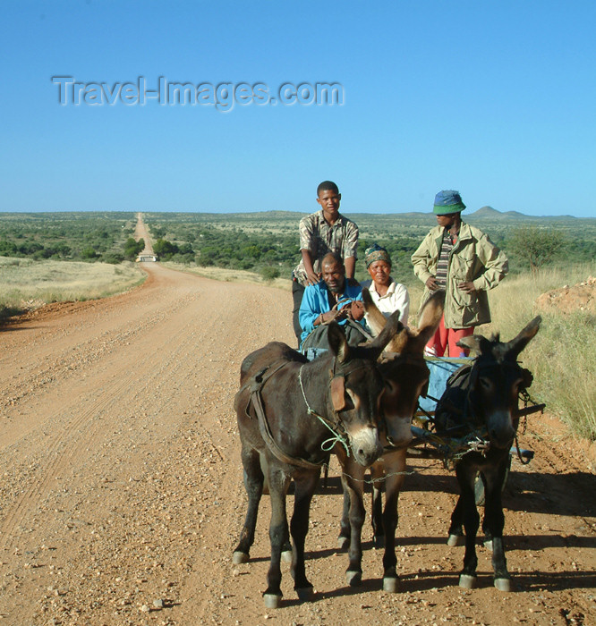namibia11: Namibia: a long road home - donkey cart - photo by J.Banks - (c) Travel-Images.com - Stock Photography agency - Image Bank
