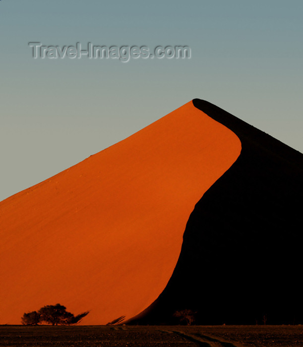 namibia120: Namib Desert - Sossusvlei, Hardap region, Namibia, Africa: Apricot coloredsand dune with tree at sunrise - photo by B.Cain - (c) Travel-Images.com - Stock Photography agency - Image Bank