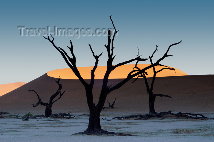 namibia127: Namib desert - Deadvlei - Hardap region, Namibia: Dead trees,orange crescent dune - photo by B.Cain - (c) Travel-Images.com - Stock Photography agency - Image Bank