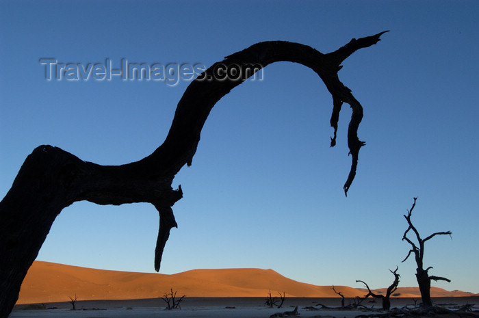 namibia128: Namib desert - Deadvlei / Death Valley - Hardap region, Namibia: sihouetted dead branch - photo by B.Cain - (c) Travel-Images.com - Stock Photography agency - Image Bank