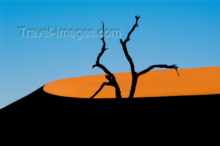 namibia129: Namib desert - Deadvlei / Dead Vlei - Hardap region, Namibia: silhouetted tree, orange crescent dune - photo by B.Cain - (c) Travel-Images.com - Stock Photography agency - Image Bank