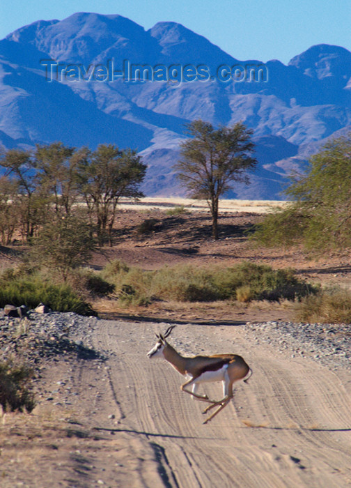 (c) Travel-Images.com - Stock Photography agency - the Global Image Bank