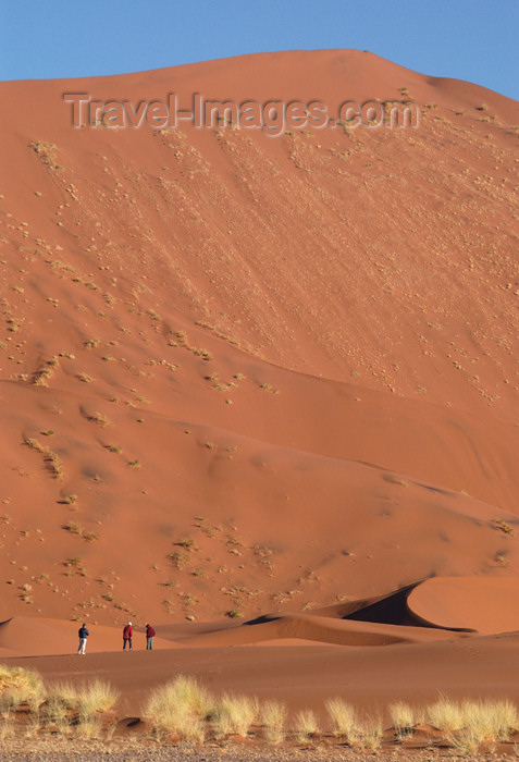 namibia183: Namib Desert - Sossusvlei, Hardap region, Namibia, Africa: tiny people at baseof enormous sand dune - photo by B.Cain - (c) Travel-Images.com - Stock Photography agency - Image Bank