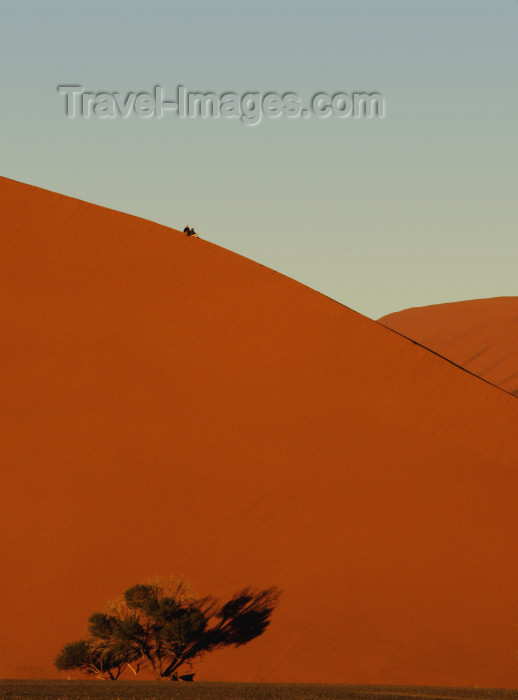 namibia190: Namib Desert - Sossusvlei, Hardap region, Namibia, Africa: two people on Dune# 45 at sunrise - photo by B.Cain - (c) Travel-Images.com - Stock Photography agency - Image Bank