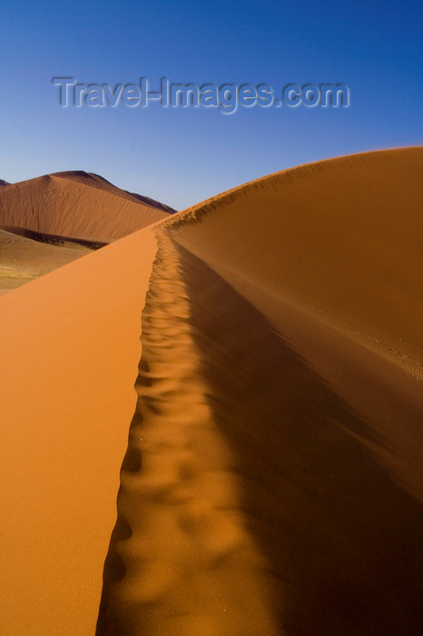 namibia204: Namib Desert - Sossusvlei, Hardap region, Namibia:  apricot colour curby sand dunes - ridge - Namib-Naukluft National Park - photo by Sandia - (c) Travel-Images.com - Stock Photography agency - Image Bank