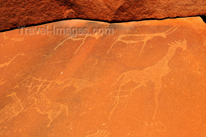 namibia230: Twyfelfontein, Kunene Region, Namibia: Twyfelfontein rock carvings - animal petroglyphs - UNESCO World Heritage Site - photo by Sandia - (c) Travel-Images.com - Stock Photography agency - Image Bank