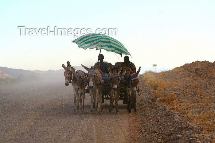 namibia232: Damaraland, Kunene Region, Namibia: most popular means of transport - donkey cart - Quadriga - photo by Sandia - (c) Travel-Images.com - Stock Photography agency - Image Bank