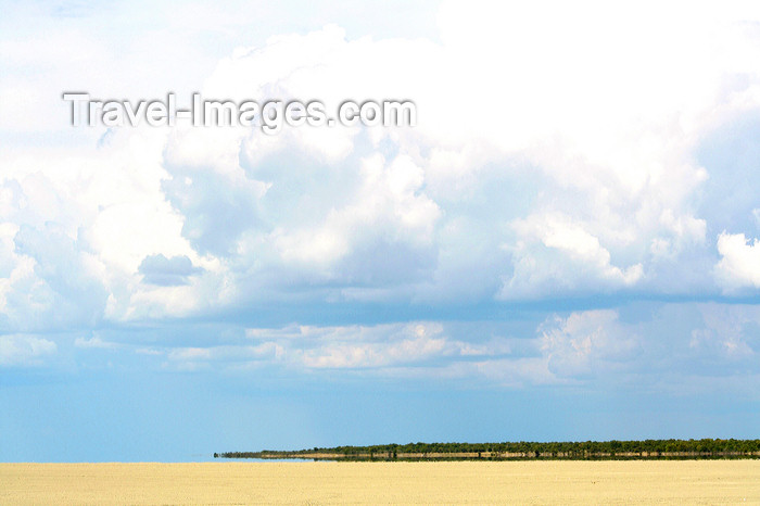 namibia236: Etosha Park, Kunene region, Namibia: Mirage - Etosha pan - photo by Sandia - (c) Travel-Images.com - Stock Photography agency - Image Bank