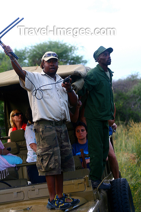 namibia242: Kunene region, Namibia:  Adrikat Foundation - looking for cheetahs / gepards - photo by Sandia - (c) Travel-Images.com - Stock Photography agency - Image Bank