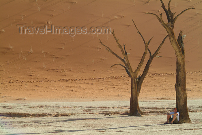 namibia29: Namib desert - Deadvlei / Death Valley - Hardap region, Namibia: light and shade - dead trees - photo by J.Banks - (c) Travel-Images.com - Stock Photography agency - Image Bank