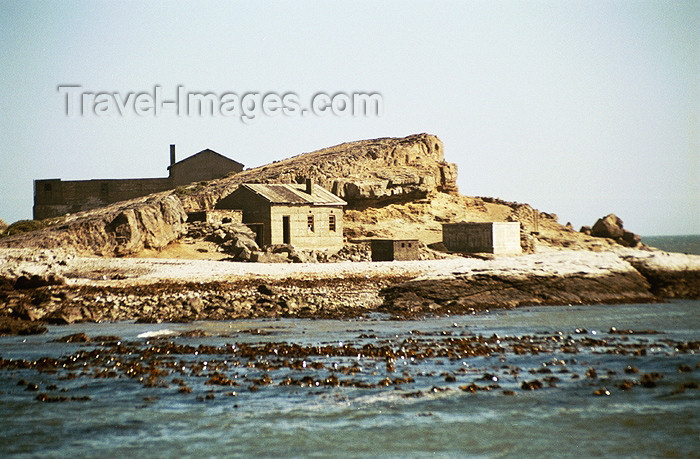 namibia47: Namibia - Swakopmund, Erongo region: Penguin Island - photo by J.Stroh - (c) Travel-Images.com - Stock Photography agency - Image Bank