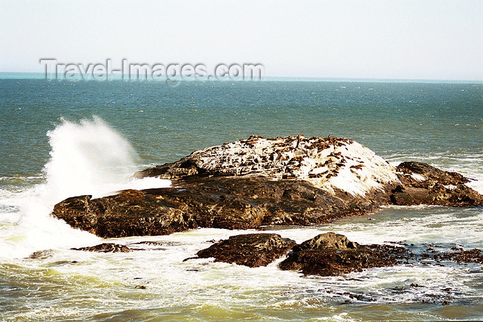 namibia51: Africa - Namibia - Lüderitz - Angra Pequena - Dias Cross - Diaz Point: islet - seal colony - photo by J.Stroh - (c) Travel-Images.com - Stock Photography agency - Image Bank